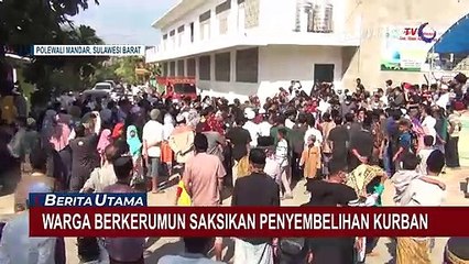 Pemotongan Sapi Kurban dari Jokowi Picu Kerumunan Warga