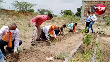 VIDEO : पौधे जीवन का आधार, इनसे ही सुखी संसार
