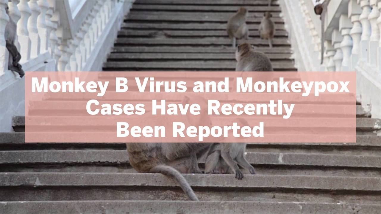 Monkey B Virus and Monkeypox Cases Have Recently Been Reported—Here's What the Differences