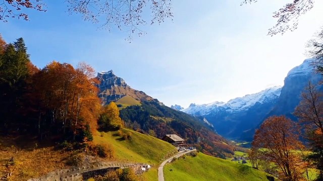 Beautiful Relaxing Music - Romantic Music with Piano, Cello, Guitar & Violin _ _Autumn Colors_