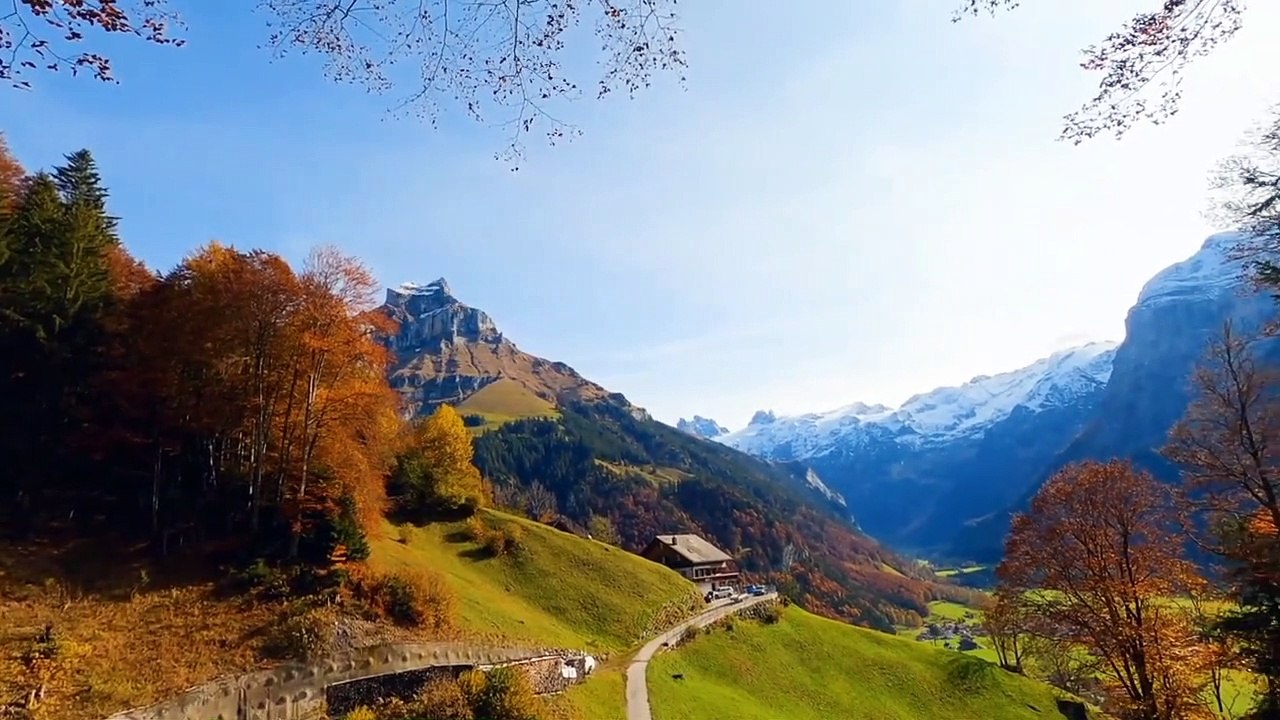 Beautiful Relaxing Music - Romantic Music with Piano, Cello, Guitar & Violin _ _Autumn Colors_