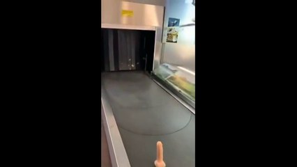 Crazy Moments Captured on Camera P6 | Boredom Peaks