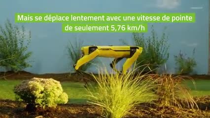 Spot, le chien robot est désormais en vente