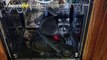 Police Discover Raccoon Resting Inside Dishwasher!