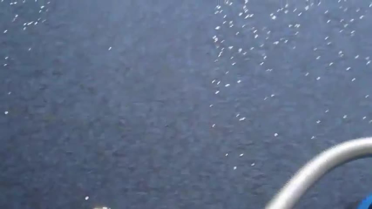 Riz sur moquette fine.mov