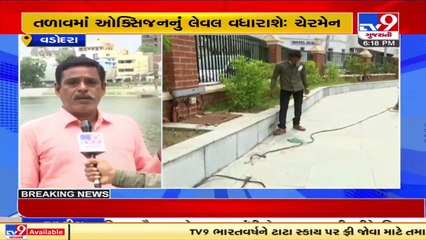 Despite spending crores on beautification of Sursagar lake, filth accumulates in the lake, Vadodara