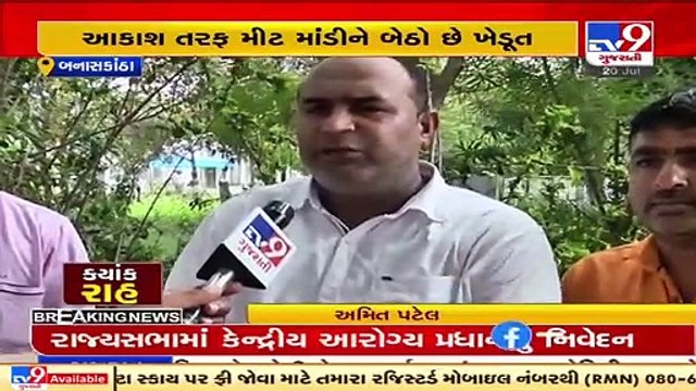 Farmers across Banaskantha worried due to Rain deficit in the region _ TV9News