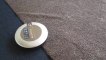 Les Numériques : Aspirateur robot Rowenta Extrem'Air Motion RR7039 sur tapis épais à poils longs