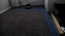 Les Numériques : Moneual MR6800M sur tapis épais à poils longs