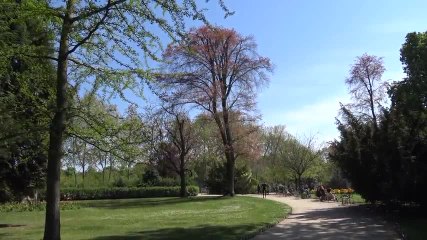 Les Numériques : Test Sony FDR-AXP33