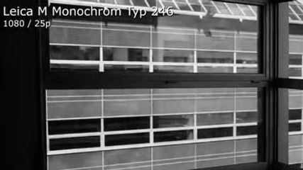 Leica M Monochrom Typ 246