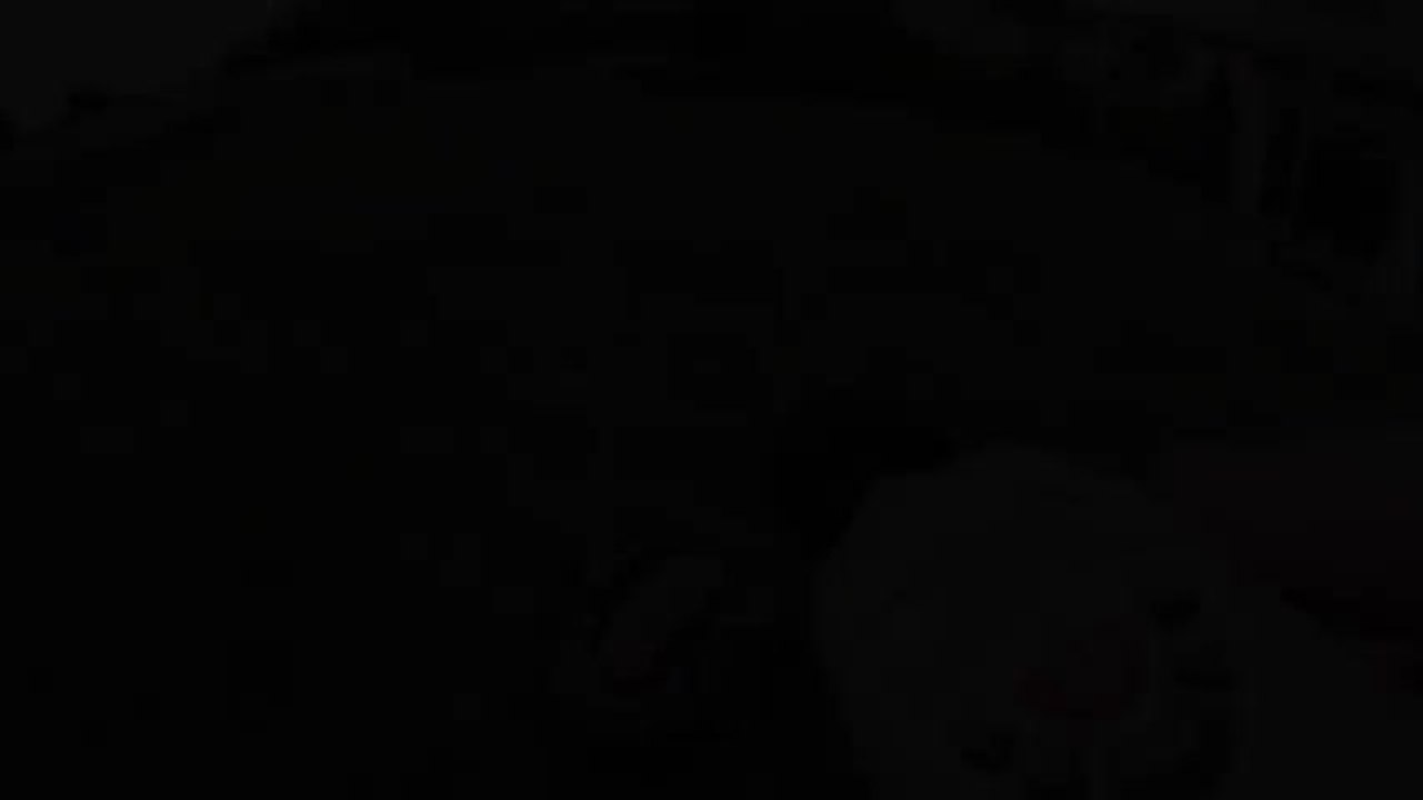 Les Numériques : tondeuse robot Automower 305, mesure du bruit et cycles de tonte