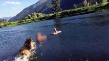 Big Dog Rescues Little Dog From Floating Away