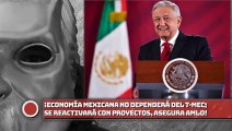 AMLO asegura Economía mexicana no dependerá del T-MEC; se reactivará con proyectos