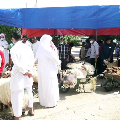 فلاح السعيدي لـ «الأنباء»  لم نواجه أي عقبات وعدد الأضاحي التي تم ذبحها في اليوم الأول وصل إلى 3500 حتى الساعة 11.30 صباحا