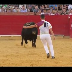 Bull's fight _fire_TikTok video for Full Screen  WhatsApp status ( 1080 X 1080 )