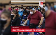 #TelepaísAhora: ¿Qué es la inmunidad de rebaño o de grupo?