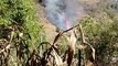 Três incêndios atingem vegetação na Serra da Moeda
