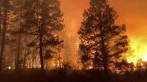 Aux États-Unis, un énorme incendie touche l'État de l'Oregon