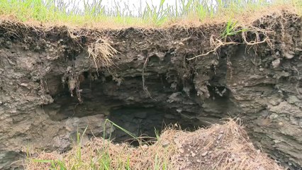 Topo - Érosion des berges NDDN