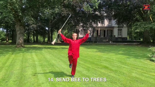 Yang Tai Chi Sword Jian 30 Form 太極劍 Taiji Jian 30 Form | Internal Martial Arts