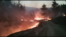 Son dakika haberleri: Kahramanmaraş'taki orman yangınında 25 hektar alan yandı