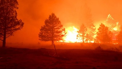 Bootleg fire burns through summer night