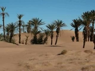 EL-OUED SOUF & LA BEAUTé DU SAHARA