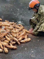 Cụ ông rửa sạch củ cải gửi Sài Gòn