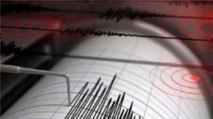 Earthquake of magnitude 5.3 hits Bikaner