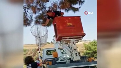 İtfaiye ekipleri leyleği kurtarıp su içirerek doğaya bıraktı