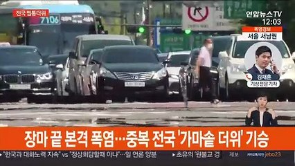 태풍 열기 유입…'펄펄' 끓는 중복, 서울 36도