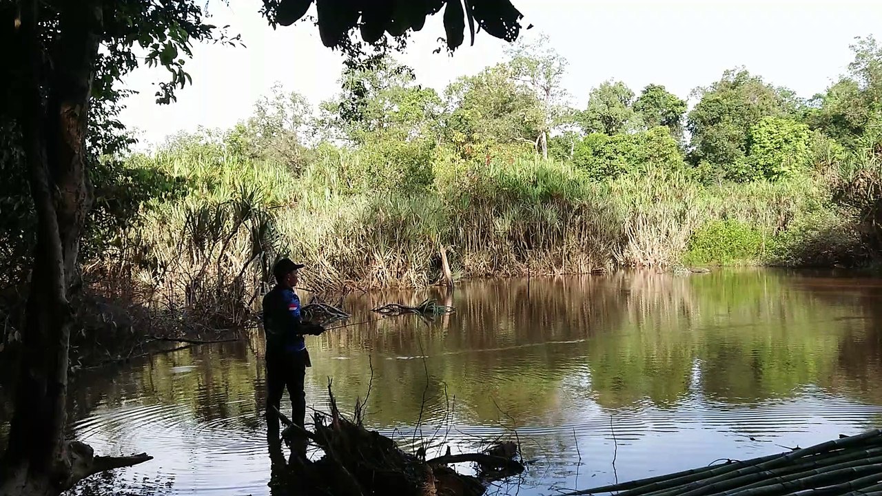 Strike ikan toman di danau angker