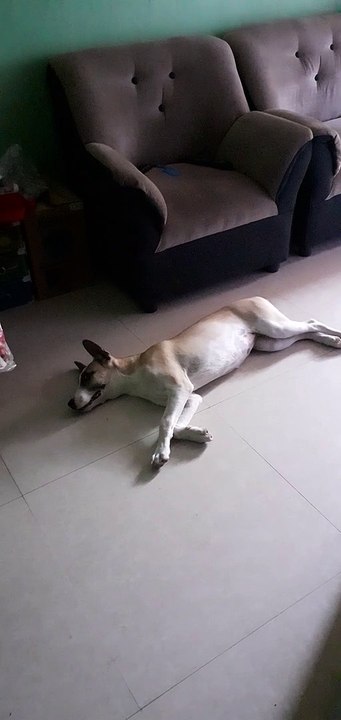 Kain na
