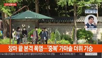 '중복' 가마솥 더위…올 최고 폭염, 서울 36도