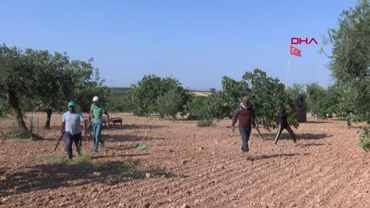 ELDE TÜFEK, ANTEP FISTIĞI NÖBETİ