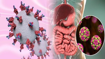 Corona के बीच Norovirus का जानलेवा कहर, दिखें ये Symptoms तो हो जाएं Alert। Boldsky