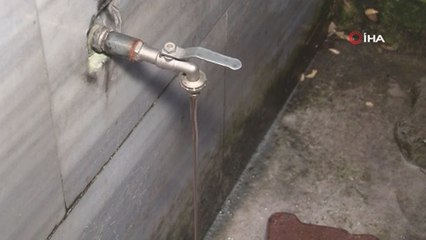 İstanbul’da kaçak kurban kesimi çeşmeden kan akıttı