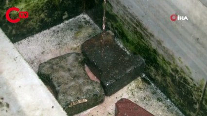 İstanbul’da kaçak kurban kesimi çeşmeden kan akıttı