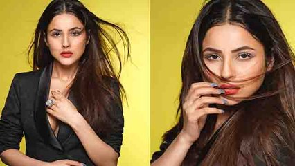 Shehnaz की  Boss lady Photoshoot  ने लगाई आग, hot अवतार देख उड़े सबके होश | FilmiBeat