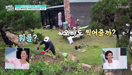 가드닝? NO! 입으로만 일하는 베짱이 이현영 TV CHOSUN 20210721 방송