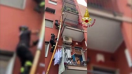 Cagnolino con le zampe incastrate sospeso nel vuoto: salvato dai Vigili del fuoco - VIDEO