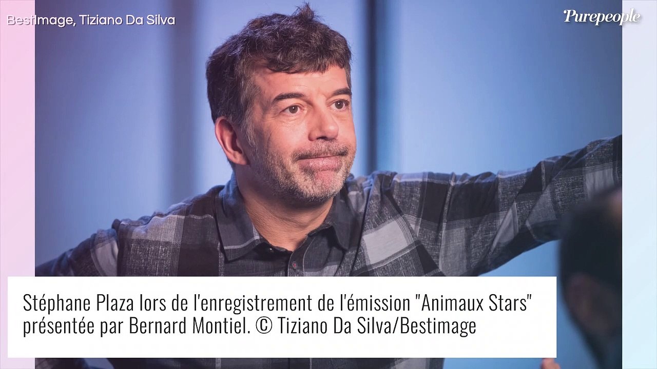 Stéphane Plaza victime d'un accident de la route : sa voiture a explosé, les dégâts en images...