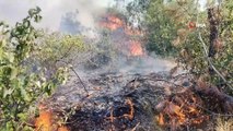 Kahramanmaraş’taki orman yangınında 50 hektar alan zarar gördü