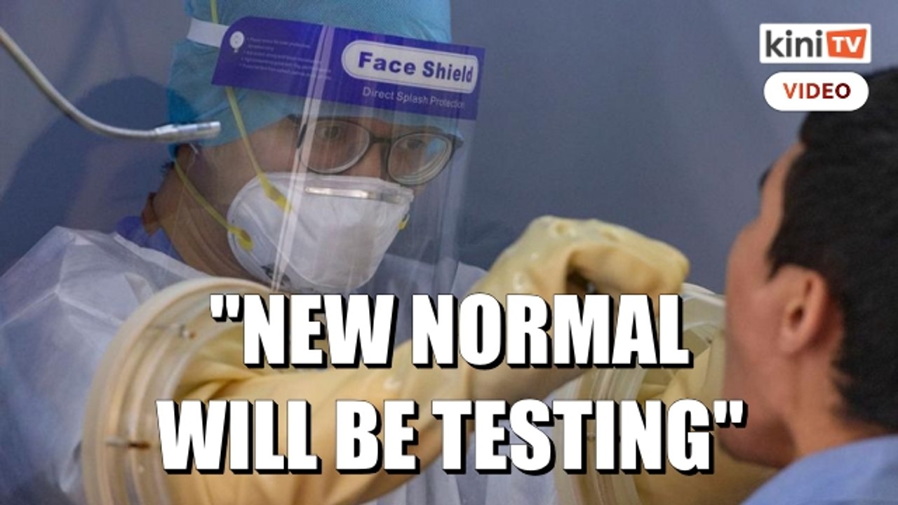 We need a national testing plan, testing will be the new normal - MP