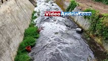 Maltempo ad Andria: detriti ed acqua scura nel canalone Ciappetta - Camaggio