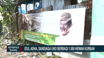 Idul Adha, Sandiaga Uno Bagikan 1.000 Hewan Kurban ke 17 Provinsi
