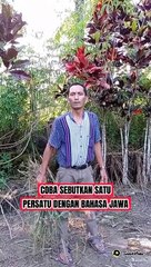 Bahasa Jawa lucu