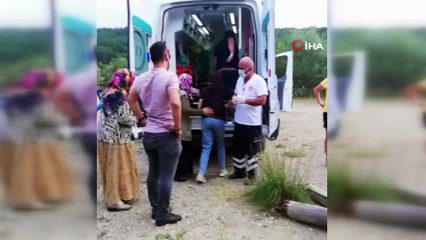 Piknik yaptıkları kamelyanın altında kaldılar