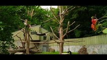 Aalborg Zoo | Vores Nordjylland - Landsdelen i billeder og musik | Gaardsmand Film 2017 | TV2 NORD - TV2 Danmark